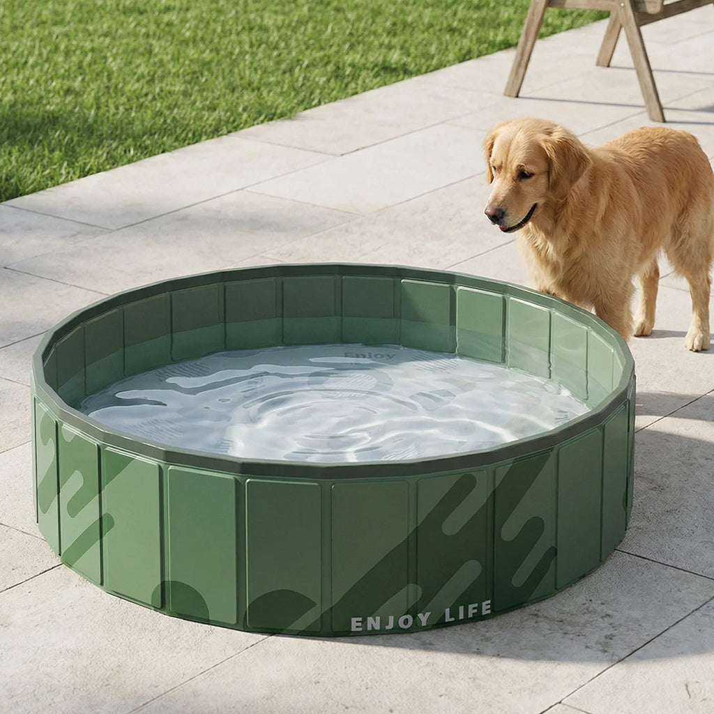 Piscine Pliable pour Chien