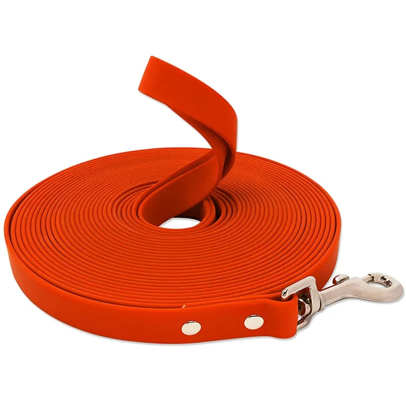 Laisse Longue d'Éducation pour Chien — Imperméable, Antidérapante & Mousqueton 360°