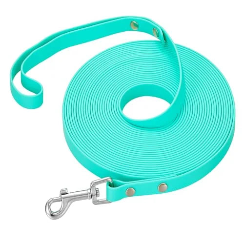 Laisse Longue d'Éducation pour Chien — Imperméable, Antidérapante & Mousqueton 360°
