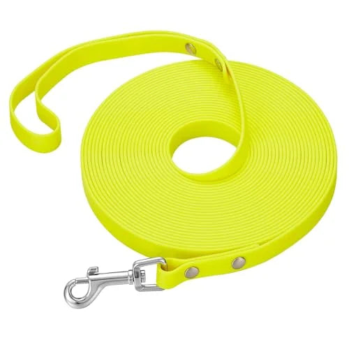 Laisse Longue d'Éducation pour Chien — Imperméable, Antidérapante & Mousqueton 360°