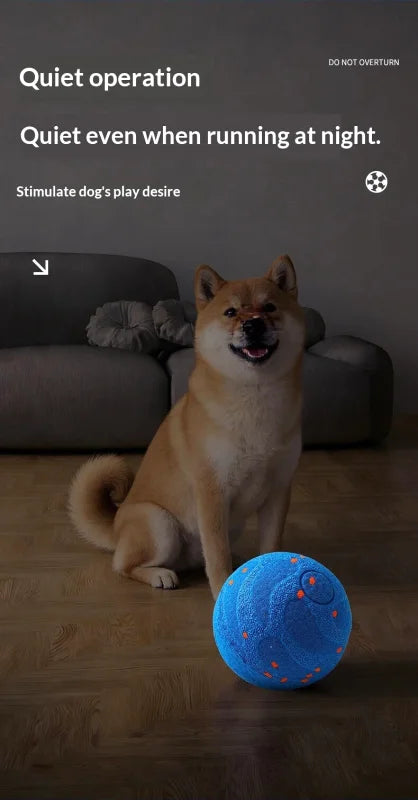 Balle Interactive Intelligente pour Chien – Rechargeable & Indestructible | Anti-Stress
