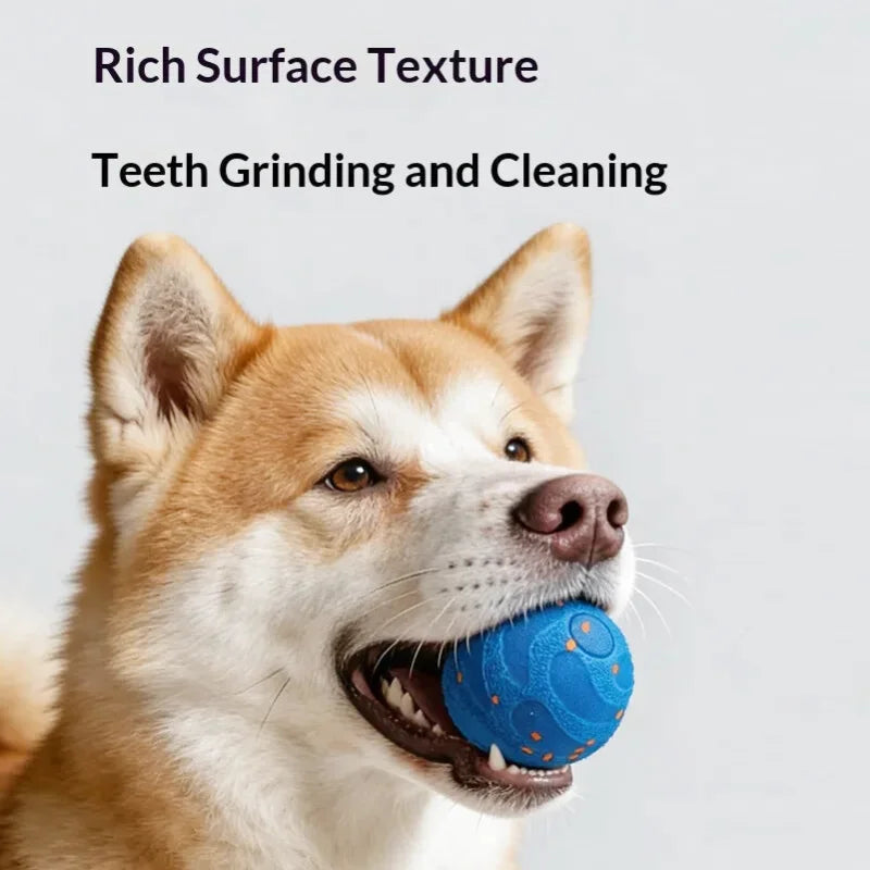 Balle Interactive Intelligente pour Chien – Rechargeable & Indestructible | Anti-Stress