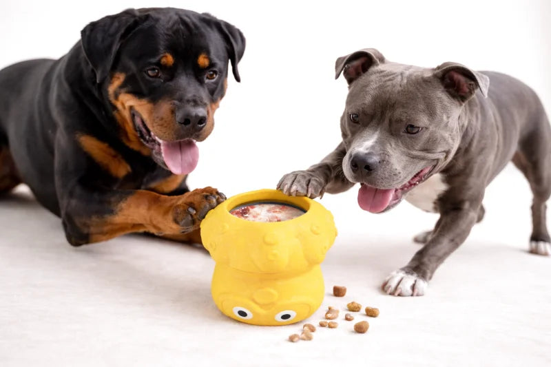 Canard Indestructible pour Grand Chien — Jouet à Mâcher & Distributeur de Friandises Glacées