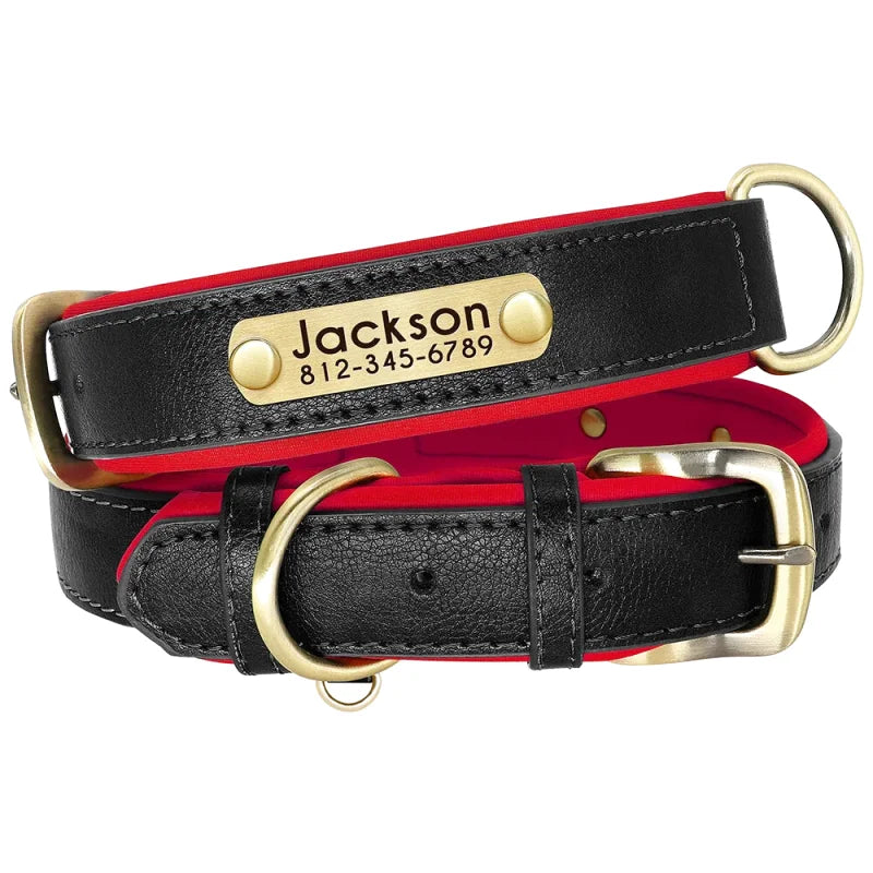 Collier en Cuir pour Chien Personnalisé – Gravure Prénom & Téléphone | Toutes Tailles