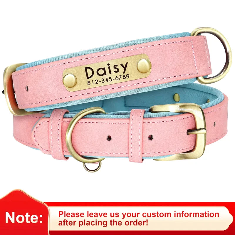 Collier en Cuir pour Chien Personnalisé – Gravure Prénom & Téléphone | Toutes Tailles