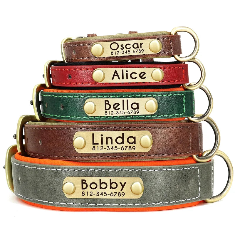 Collier en Cuir pour Chien Personnalisé – Gravure Prénom & Téléphone | Toutes Tailles