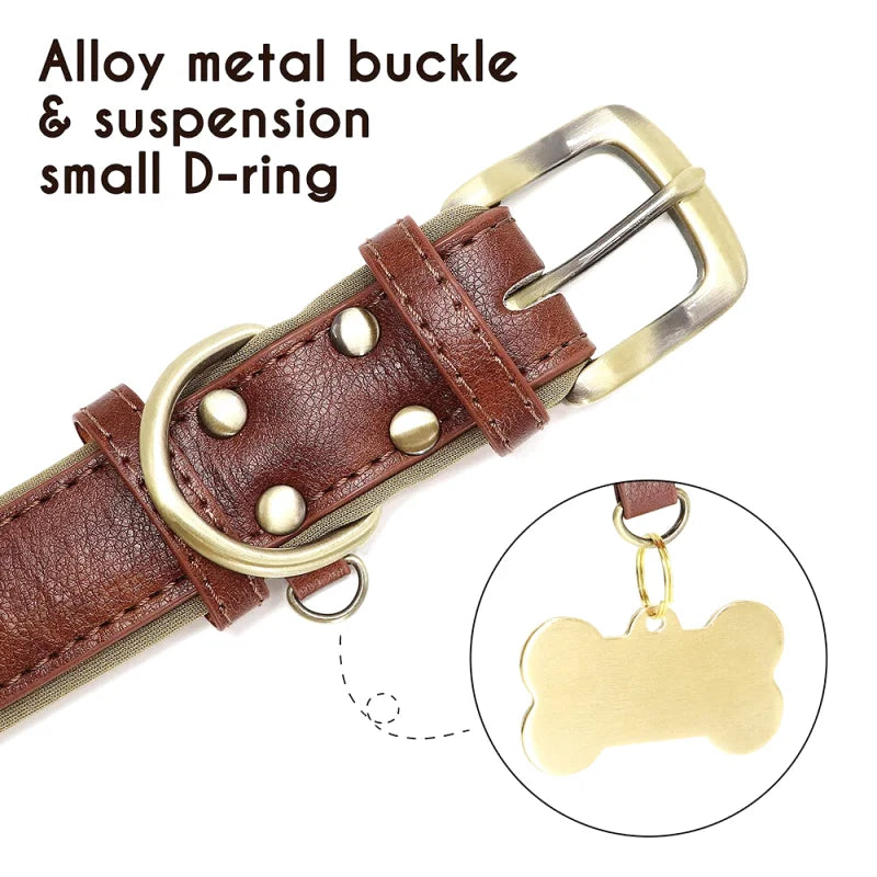 Collier en Cuir pour Chien Personnalisé – Gravure Prénom & Téléphone | Toutes Tailles