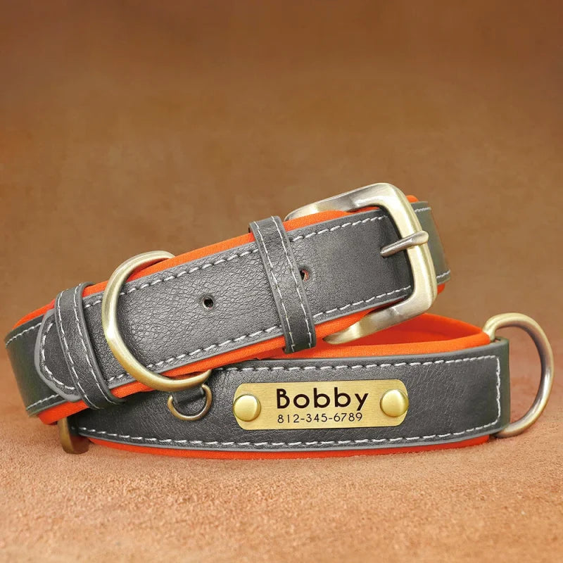Collier en Cuir pour Chien Personnalisé – Gravure Prénom & Téléphone | Toutes Tailles
