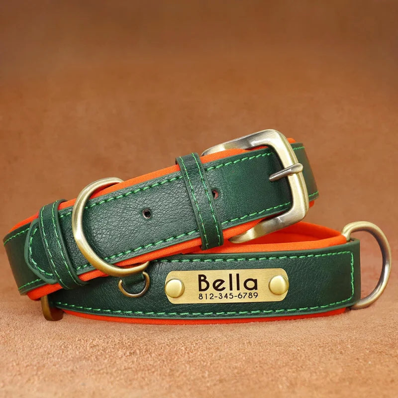 Collier en Cuir pour Chien Personnalisé – Gravure Prénom & Téléphone | Toutes Tailles
