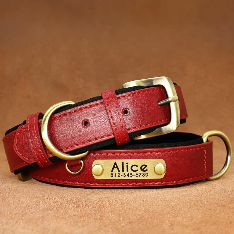 Collier en Cuir pour Chien Personnalisé – Gravure Prénom & Téléphone | Toutes Tailles
