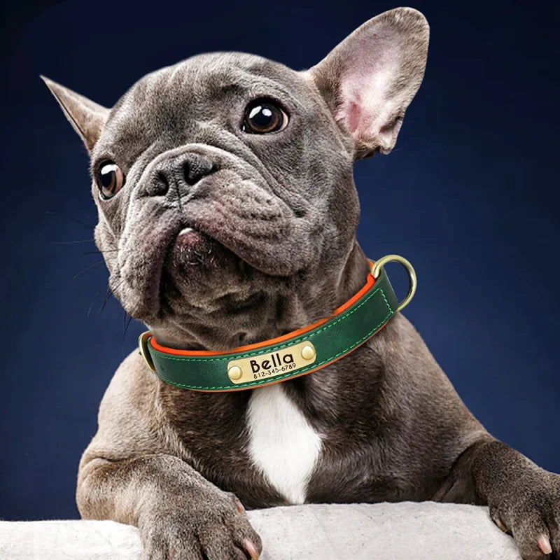 Collier en Cuir pour Chien Personnalisé – Gravure Prénom & Téléphone | Toutes Tailles