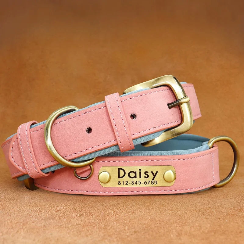 Collier en Cuir pour Chien Personnalisé – Gravure Prénom & Téléphone | Toutes Tailles