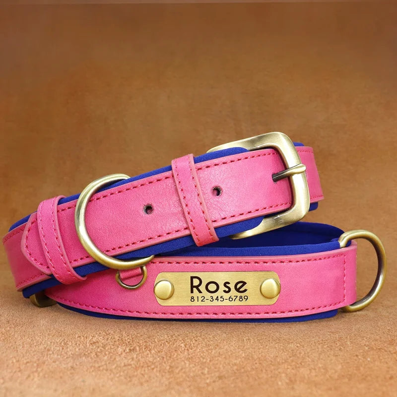 Collier en Cuir pour Chien Personnalisé – Gravure Prénom & Téléphone | Toutes Tailles