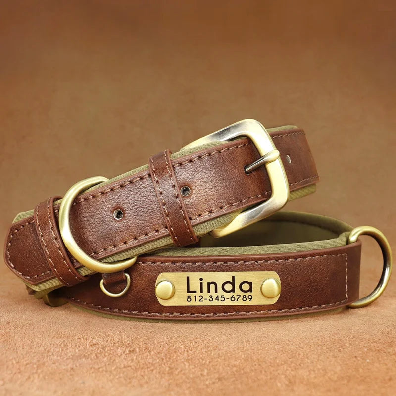 Collier en Cuir pour Chien Personnalisé – Gravure Prénom & Téléphone | Toutes Tailles