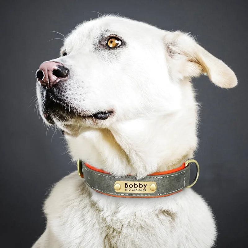 Collier en Cuir pour Chien Personnalisé – Gravure Prénom & Téléphone | Toutes Tailles