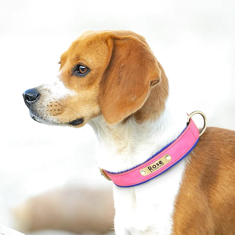 Collier en Cuir pour Chien Personnalisé – Gravure Prénom & Téléphone | Toutes Tailles