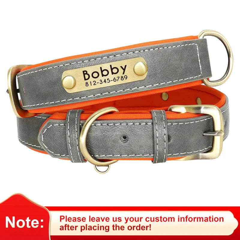 Collier en Cuir pour Chien Personnalisé – Gravure Prénom & Téléphone | Toutes Tailles