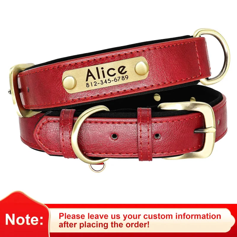Collier en Cuir pour Chien Personnalisé – Gravure Prénom & Téléphone | Toutes Tailles