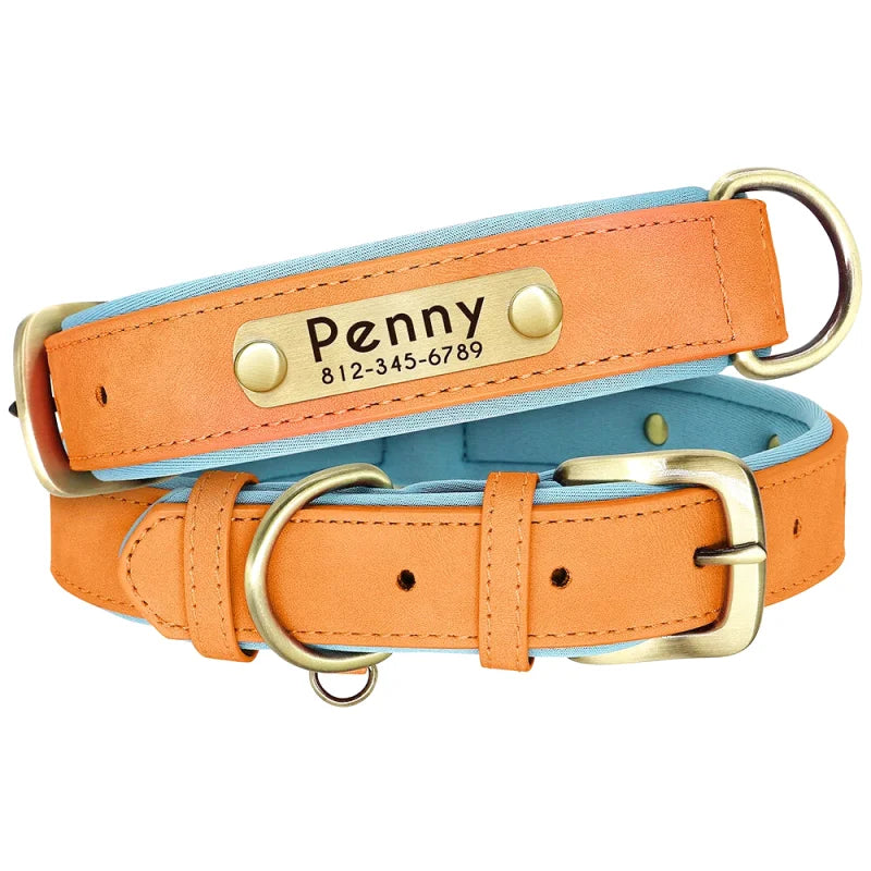 Collier en Cuir pour Chien Personnalisé – Gravure Prénom & Téléphone | Toutes Tailles