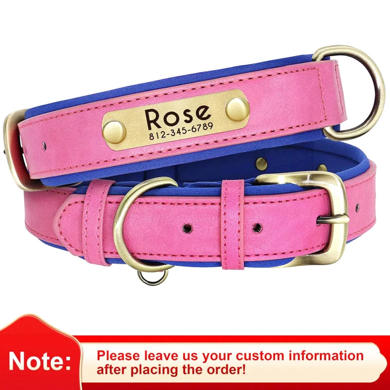 Collier en Cuir pour Chien Personnalisé – Gravure Prénom & Téléphone | Toutes Tailles