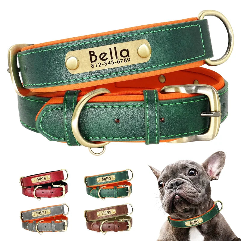 Collier en Cuir pour Chien Personnalisé – Gravure Prénom & Téléphone | Toutes Tailles