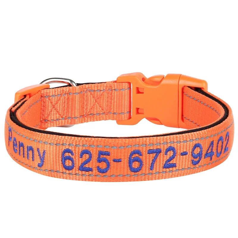 Collier Nylon Brodé Personnalisé pour Chien – Réfléchissant | S à XL