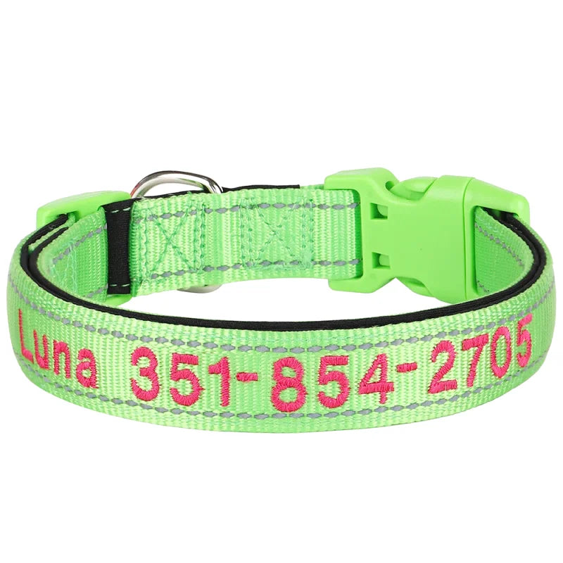 Collier Nylon Brodé Personnalisé pour Chien – Réfléchissant | S à XL