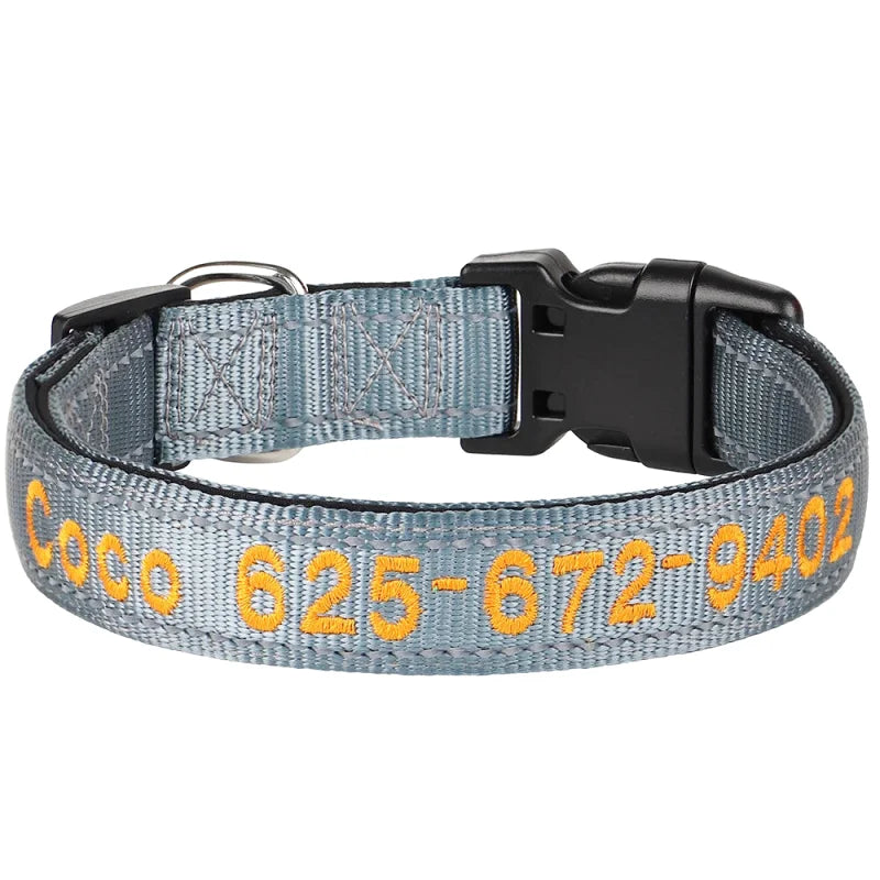 Collier Nylon Brodé Personnalisé pour Chien – Réfléchissant | S à XL