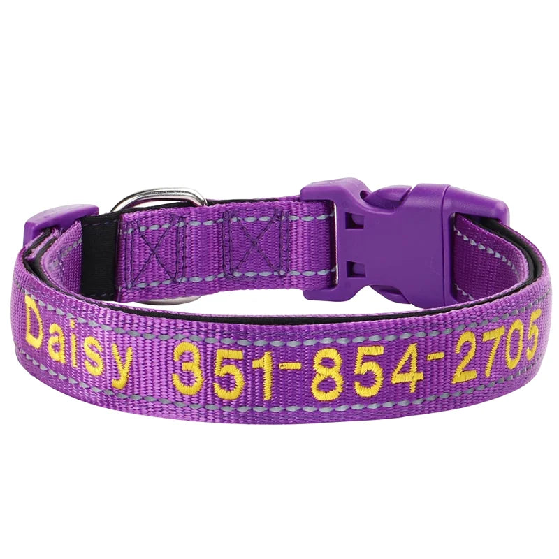 Collier Nylon Brodé Personnalisé pour Chien – Réfléchissant | S à XL