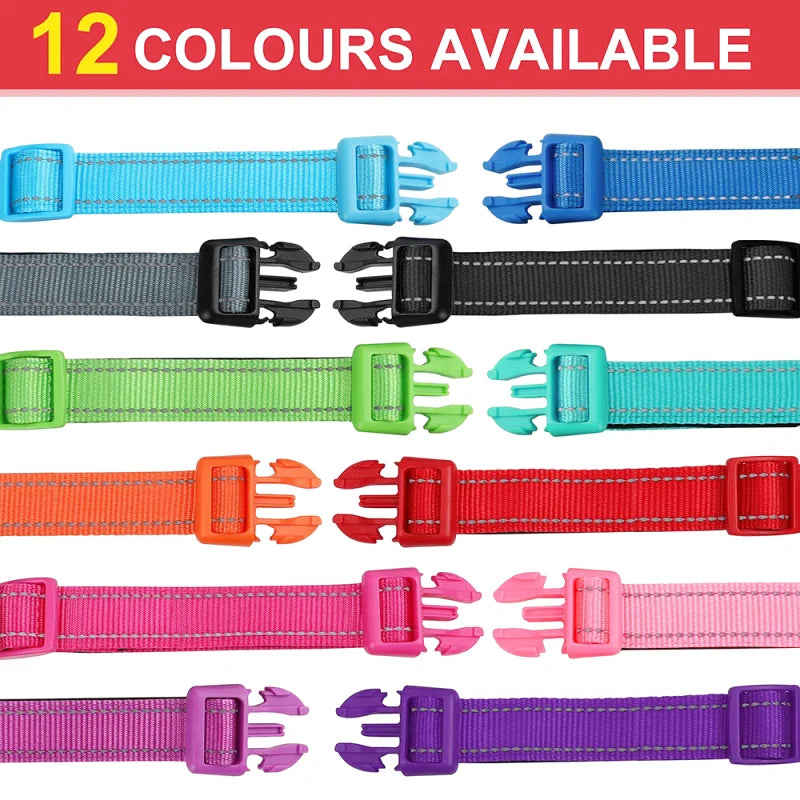 Collier Nylon Brodé Personnalisé pour Chien – Réfléchissant | S à XL