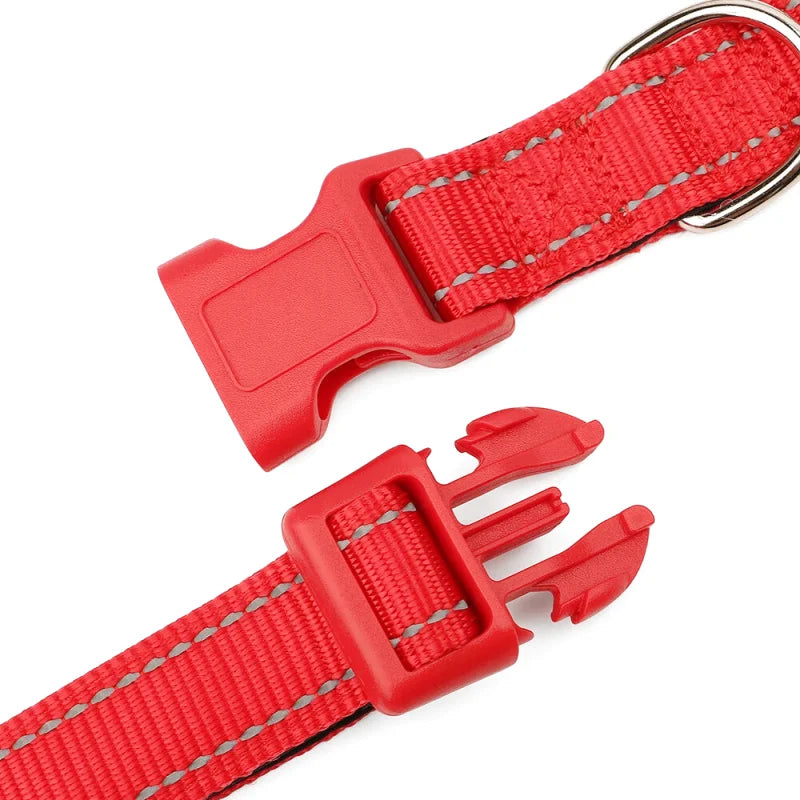 Collier Nylon Brodé Personnalisé pour Chien – Réfléchissant | S à XL