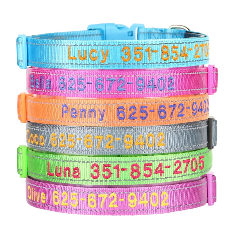 Collier Nylon Brodé Personnalisé pour Chien – Réfléchissant | S à XL