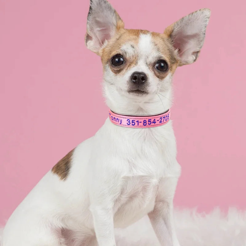 Collier Nylon Brodé Personnalisé pour Chien – Réfléchissant | S à XL