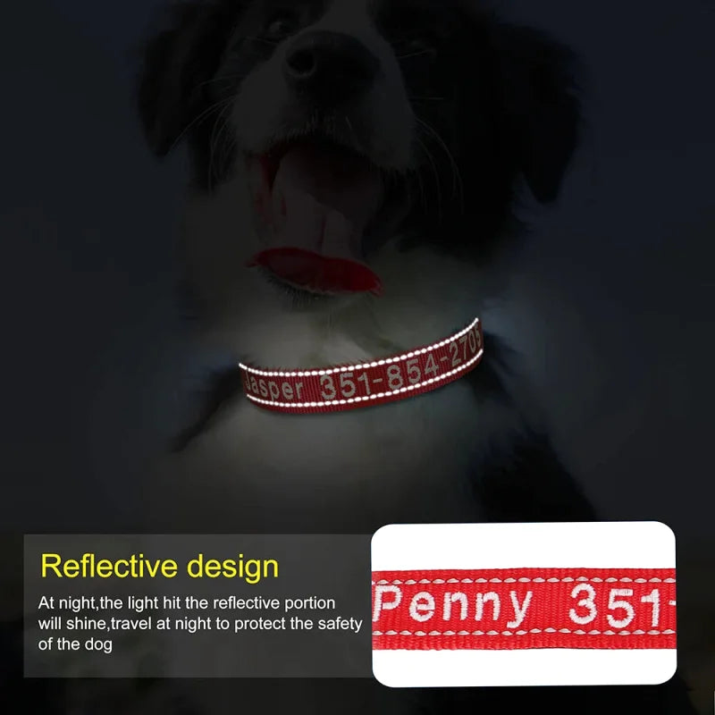 Collier Nylon Brodé Personnalisé pour Chien – Réfléchissant | S à XL