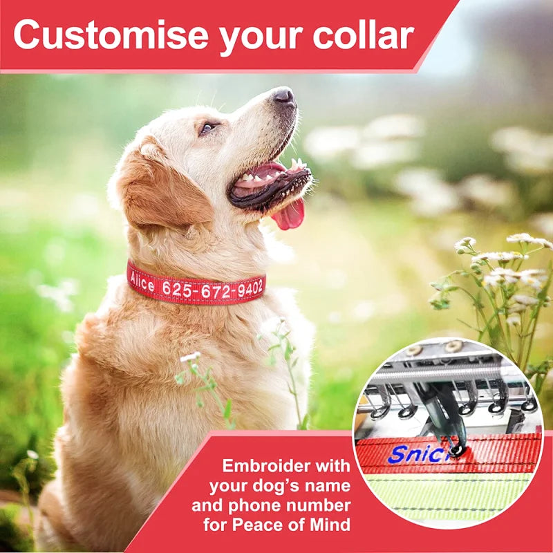 Collier Nylon Brodé Personnalisé pour Chien – Réfléchissant | S à XL