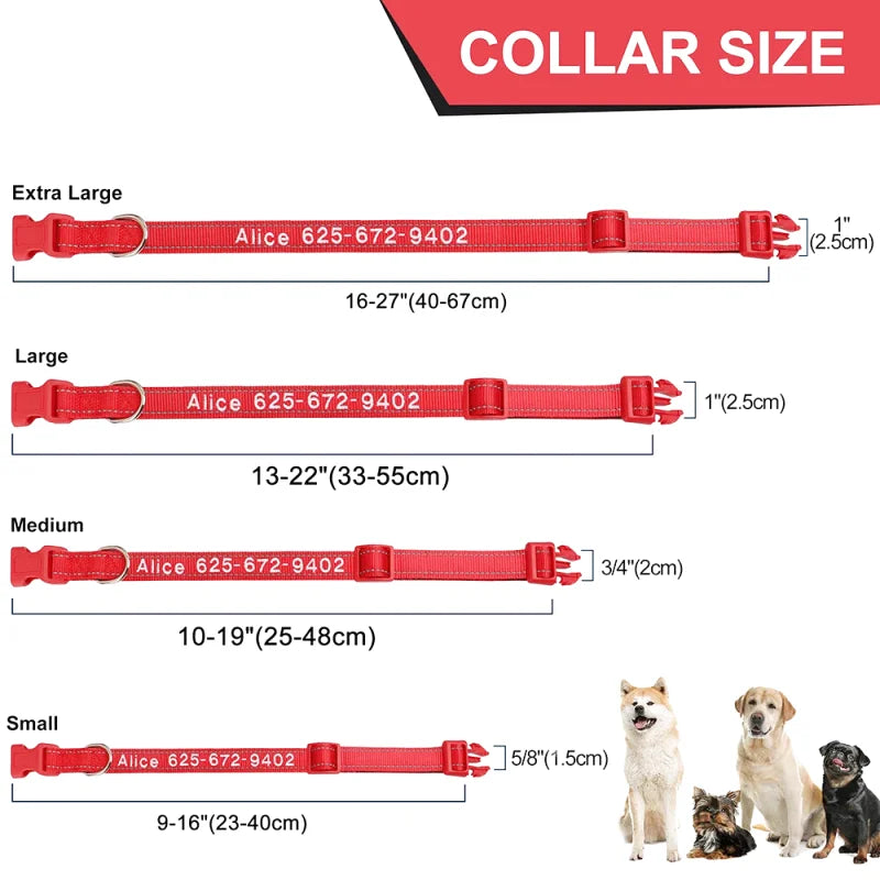 Collier Nylon Brodé Personnalisé pour Chien – Réfléchissant | S à XL