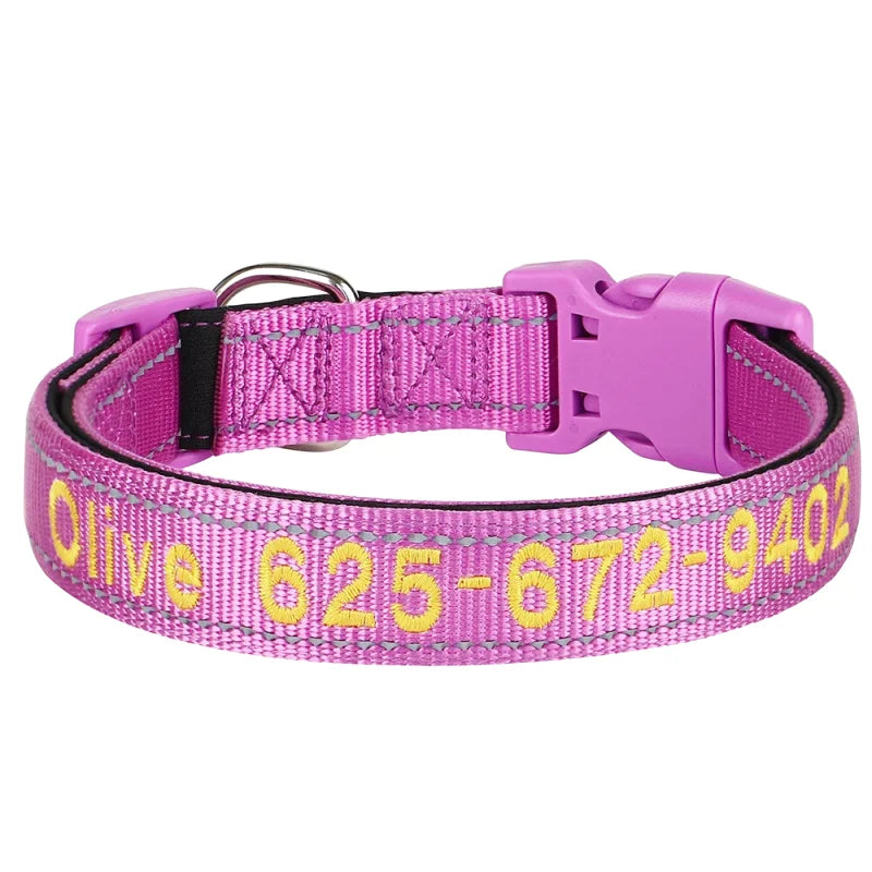 Collier Nylon Brodé Personnalisé pour Chien – Réfléchissant | S à XL