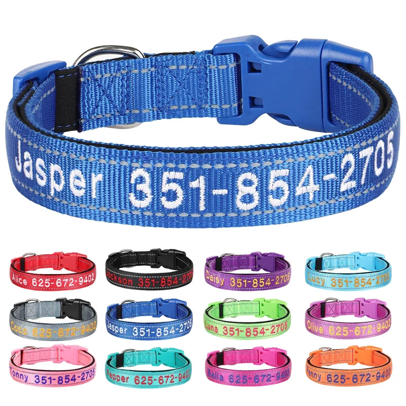 Collier Nylon Brodé Personnalisé pour Chien – Réfléchissant | S à XL