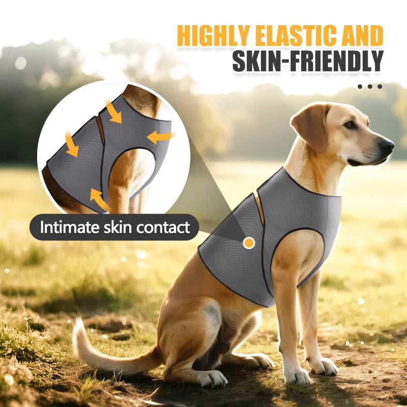 Gilet Anti-Stress pour Chien — Pression Douce, Tissu Respirant, Toutes Tailles