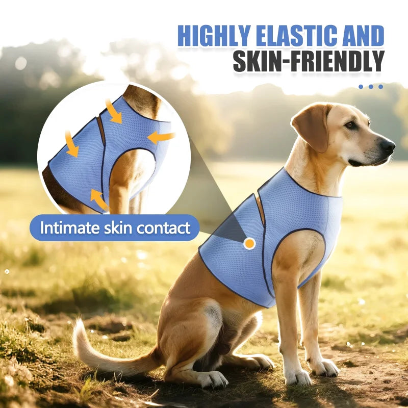 Gilet Anti-Stress pour Chien — Pression Douce, Tissu Respirant, Toutes Tailles