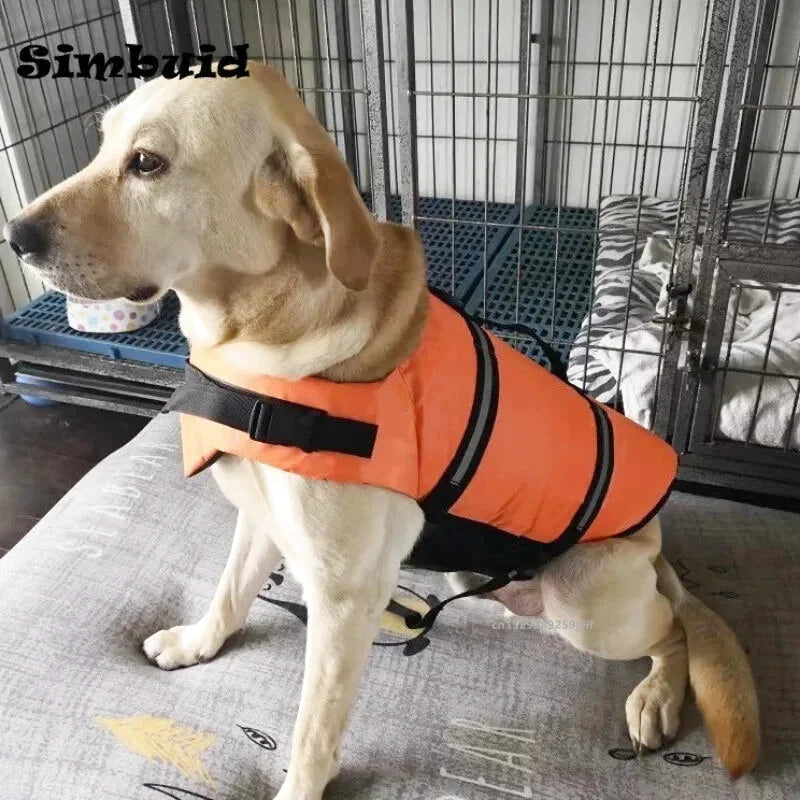Gilet de Sauvetage pour Chien Réfléchissant – Flottabilité Renforcée | XXS à XL