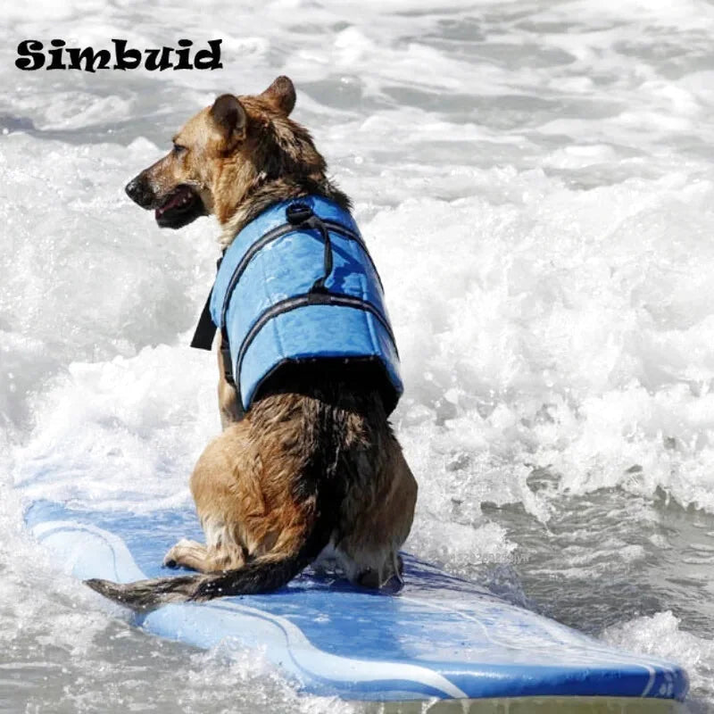 Gilet de Sauvetage pour Votre Chien
