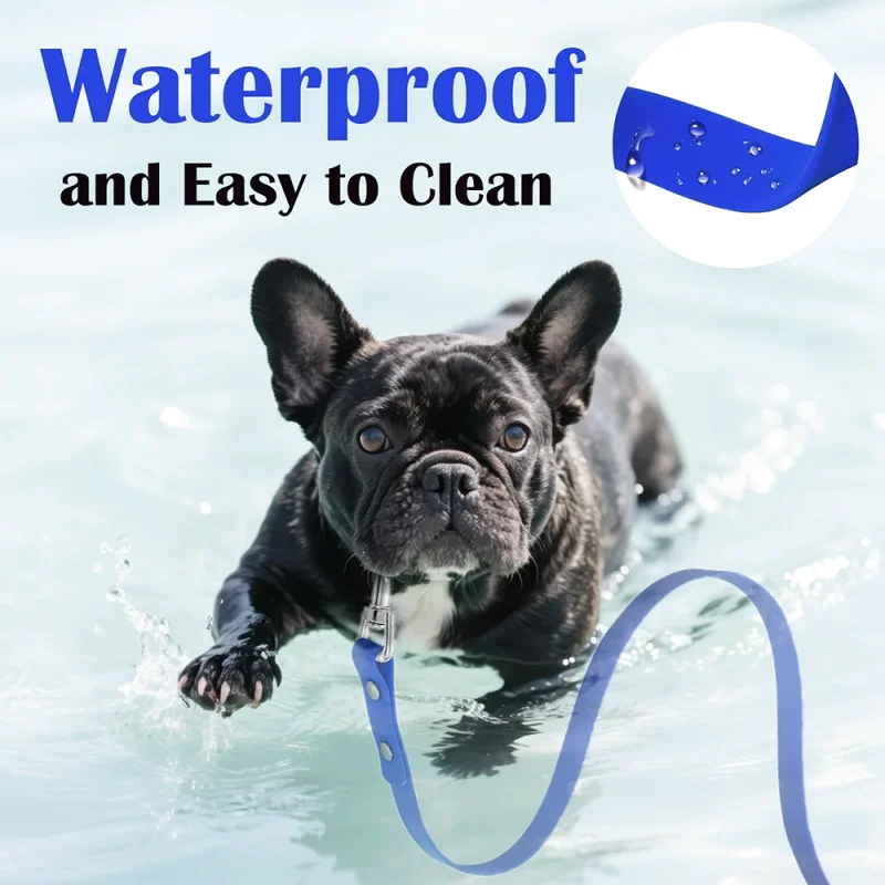 Laisse Longue d'Éducation pour Chien — Imperméable, Antidérapante & Mousqueton 360°