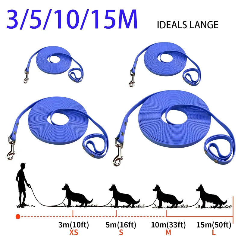 Laisse Longue d'Éducation pour Chien — Imperméable, Antidérapante & Mousqueton 360°