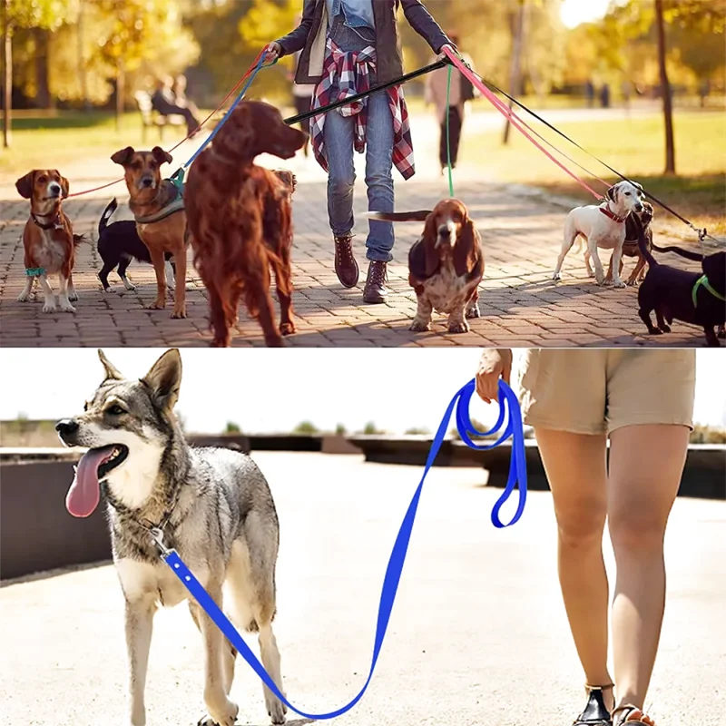 Laisse Longue d'Éducation pour Chien — Imperméable, Antidérapante & Mousqueton 360°