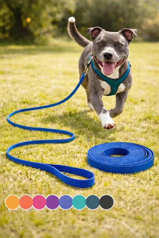Laisse Longue d'Éducation pour Chien — Imperméable, Antidérapante & Mousqueton 360°