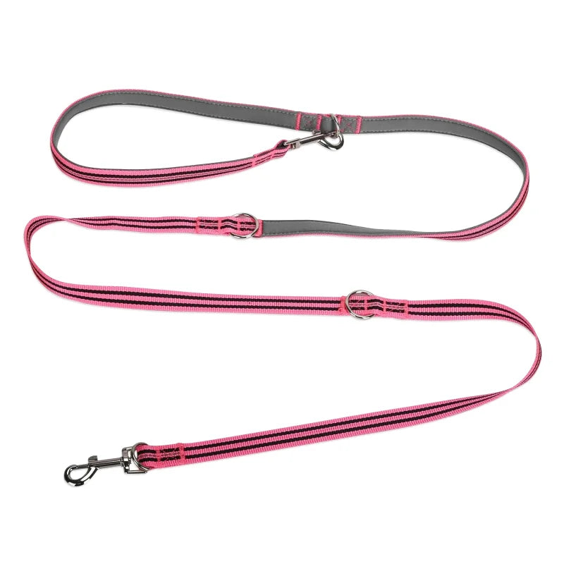 Laisse Multifonctions pour Chien — Réfléchissante, Extensible & Mains Libres