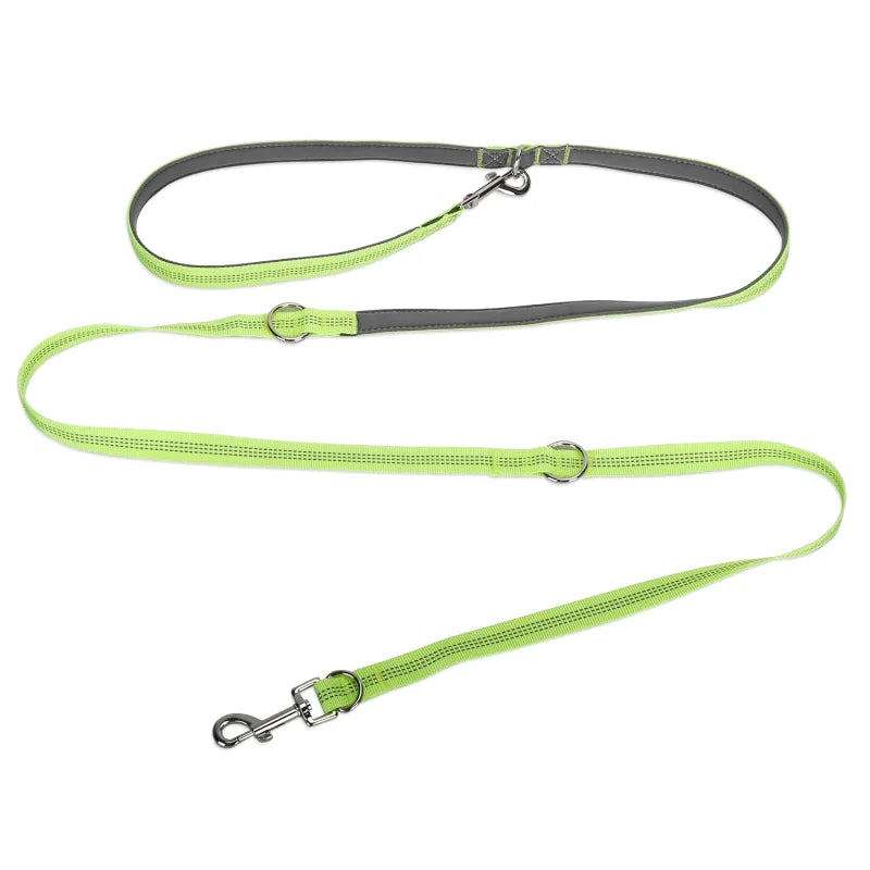 Laisse Multifonctions pour Chien — Réfléchissante, Extensible & Mains Libres