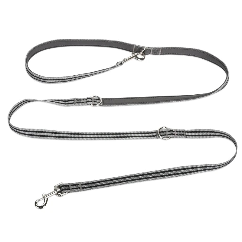 Laisse Multifonctions pour Chien — Réfléchissante, Extensible & Mains Libres