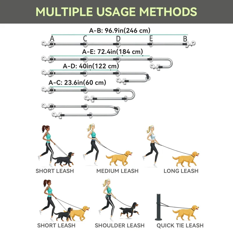 Laisse Multifonctions pour Chien — Réfléchissante, Extensible & Mains Libres